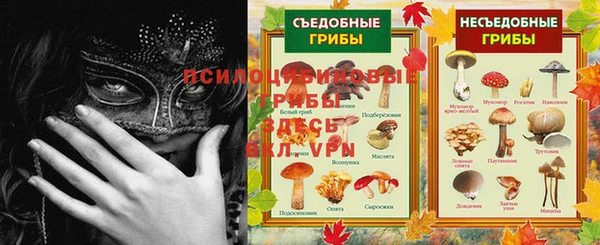 гашик Абинск