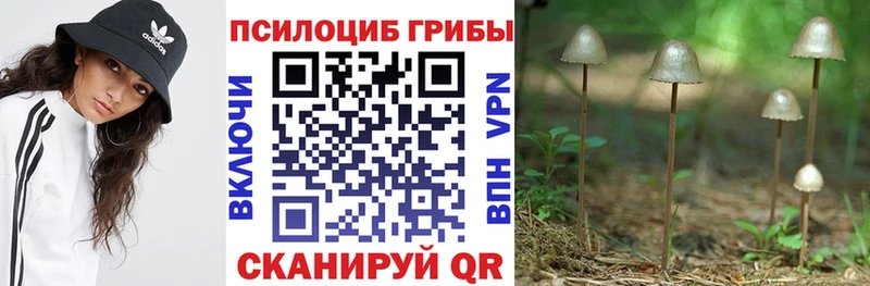 купить наркоту  ОМГ ОМГ ONION  Галлюциногенные грибы мицелий  Серпухов 